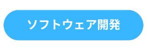 ソフトウェア開発